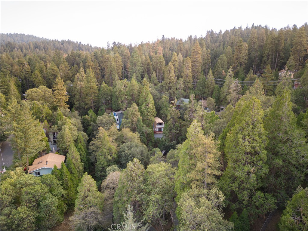 512 Shady Dell Crestline, CA 92325 - Photo 40 of 42 a view of a forest with a mountain and trees
