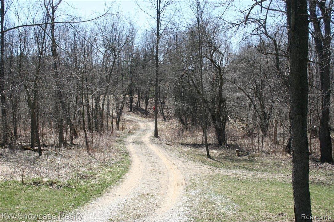 3185 Curdy Road Howell, MI 48855 - Photo 2 of 16 nestled amongst the trees