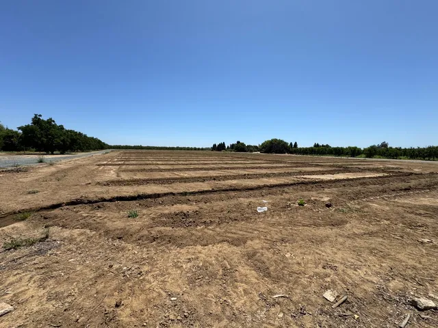 a view of a backyard with wooden floor