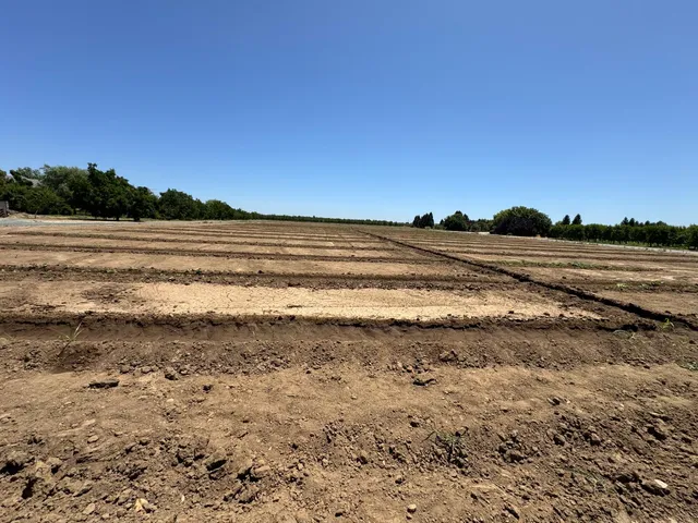 a view of an ocean beach