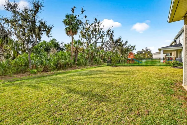 a view of a big yard with plants and large trees