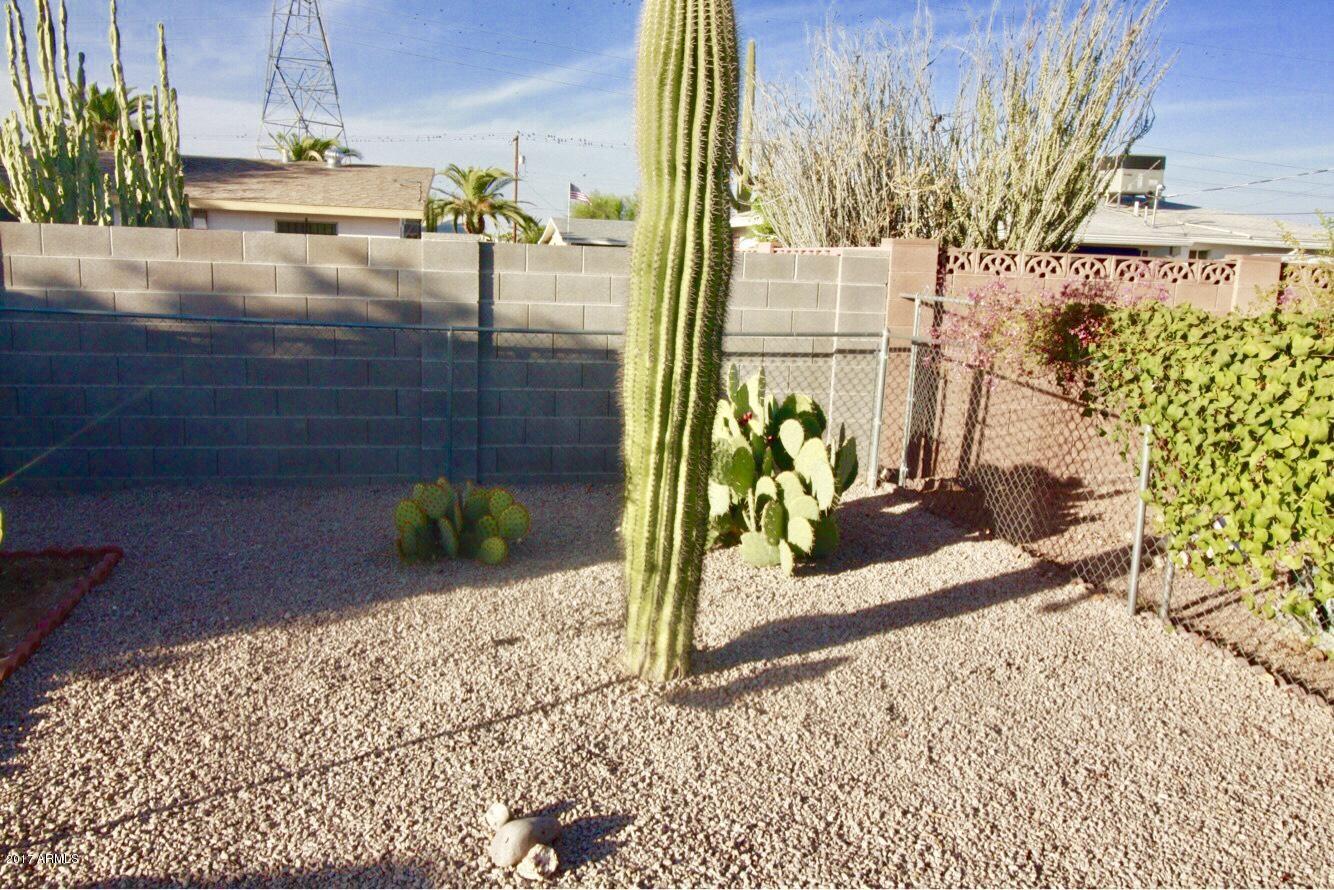 5418 Casper Road Mesa, AZ 85205 - Photo 28 of 33 Casper 7