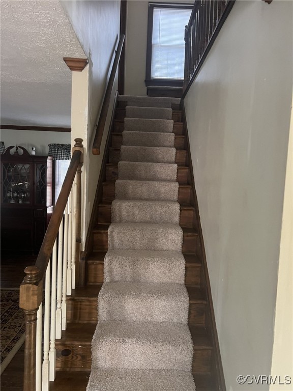 7570 Elko Road Henrico, VA 23231 - Photo 17 of 20 new carpet stairs and upstairs