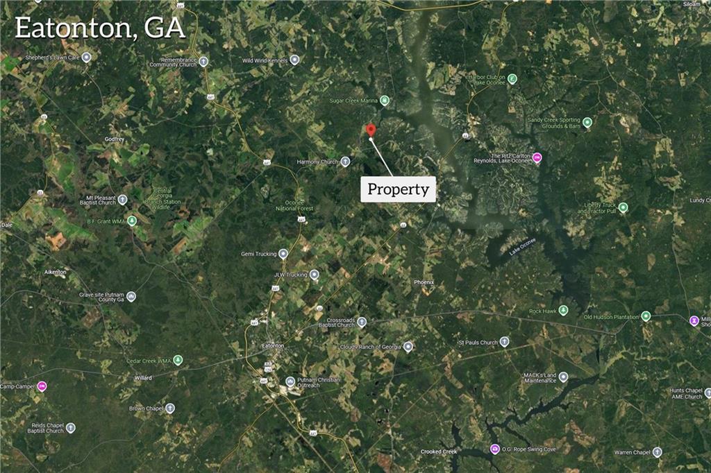 0 Harmony Road Eatonton, GA 31024 - Photo 3 of 4