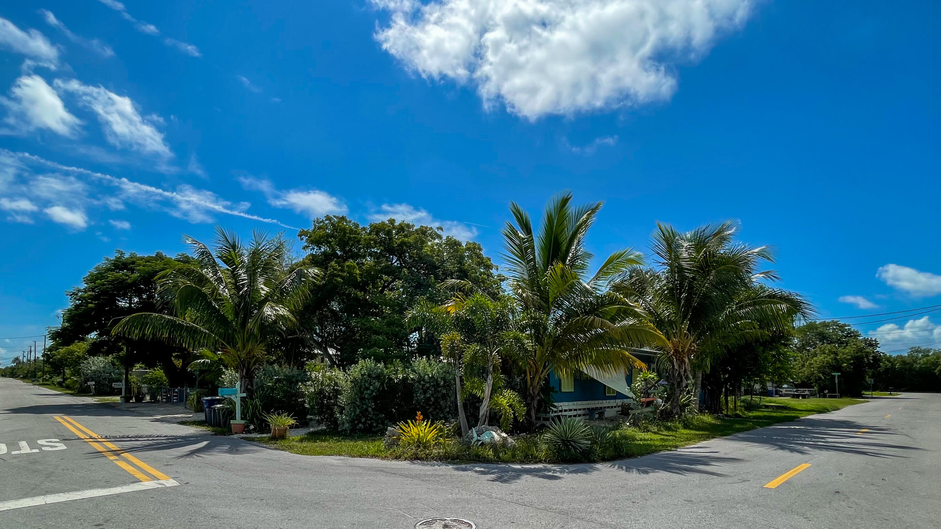 31316 Ave C Big Pine Key, FL 33043 - Photo 2 of 28 a view of a palm tree with flower plants and large trees
