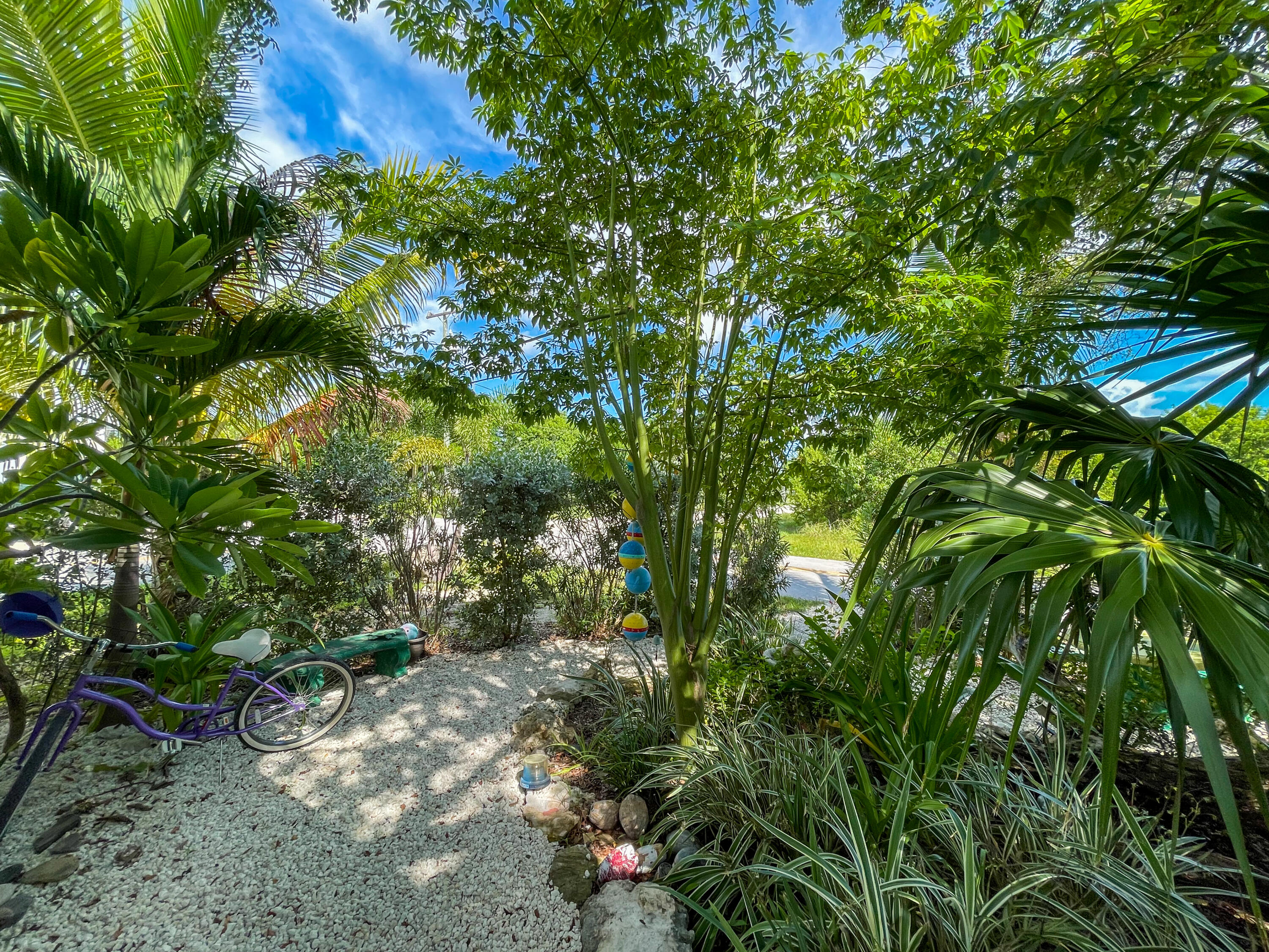 31316 Ave C Big Pine Key, FL 33043 - Photo 12 of 28 a backyard of a house with lots of green space