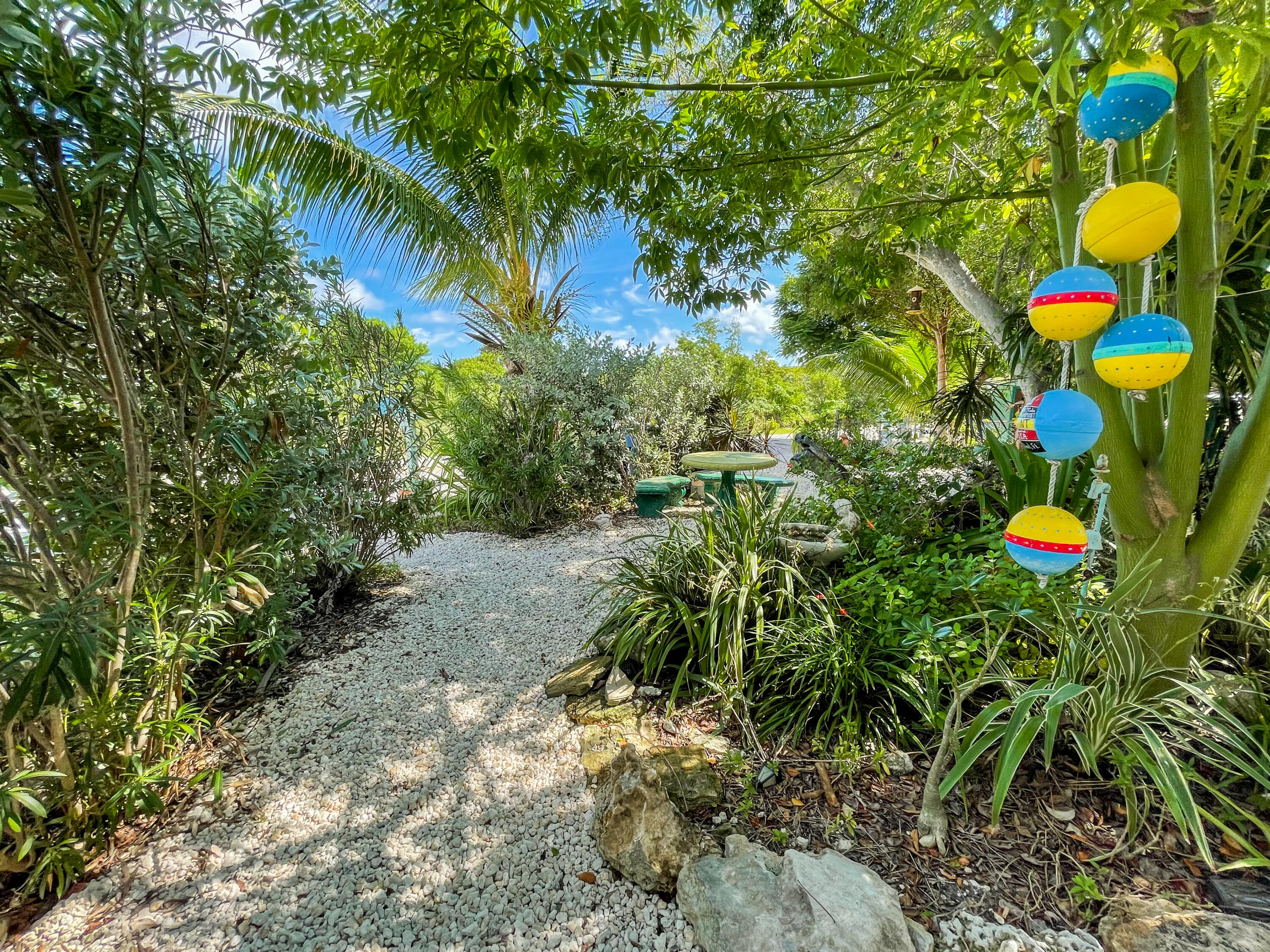 31316 Ave C Big Pine Key, FL 33043 - Photo 5 of 28 a view of a tree in a garden