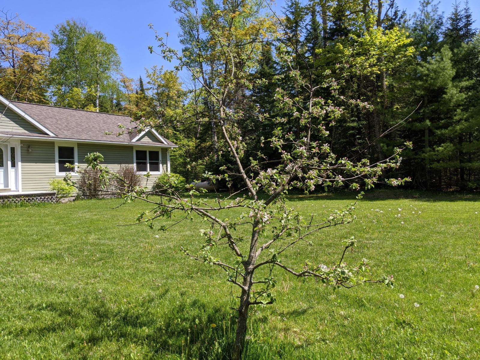 1643 Smith Road St. Ignace, MI 49781 - Photo 39 of 42 Gallery Image 39