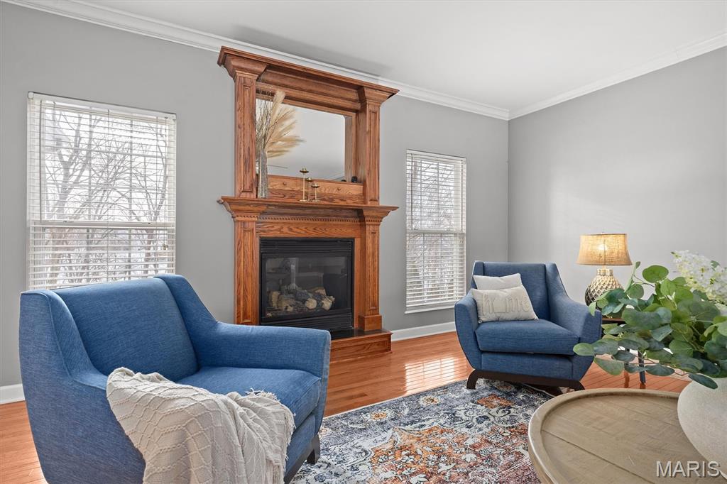 1171 Red Hawk Ridge Lane O'Fallon, IL 62269 - Photo 12 of 71