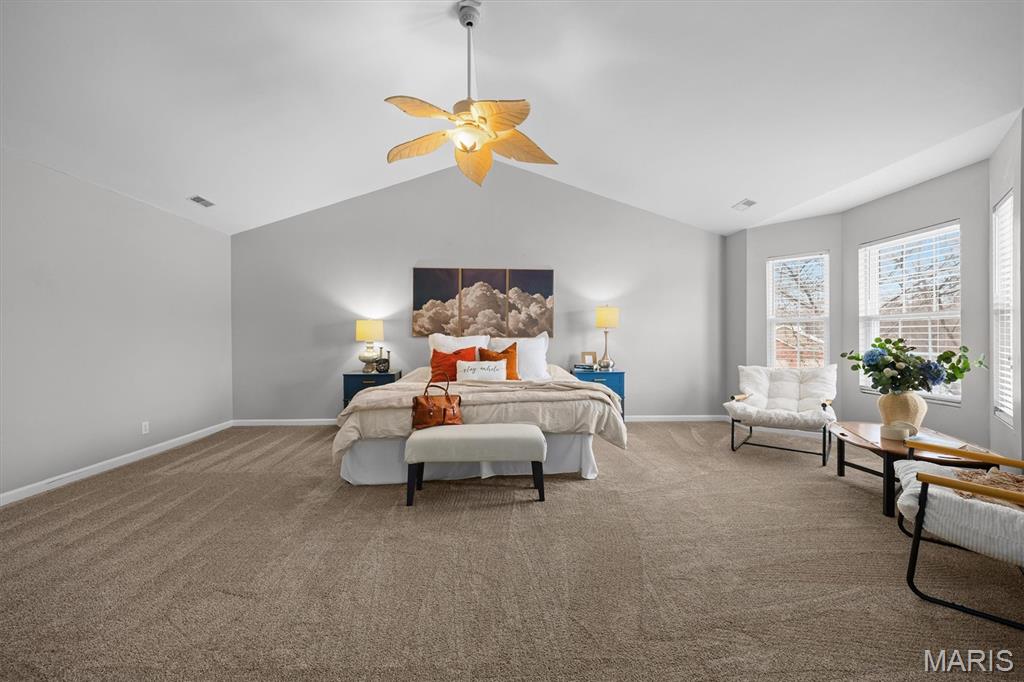 1171 Red Hawk Ridge Lane O'Fallon, IL 62269 - Photo 27 of 71