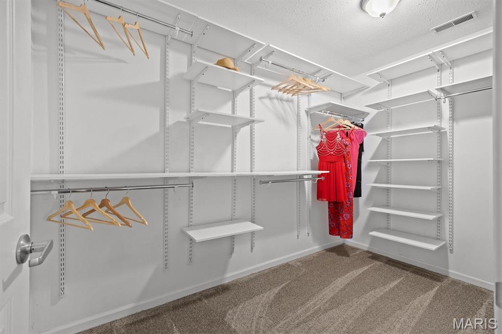 1171 Red Hawk Ridge Lane O'Fallon, IL 62269 - Photo 30 of 71