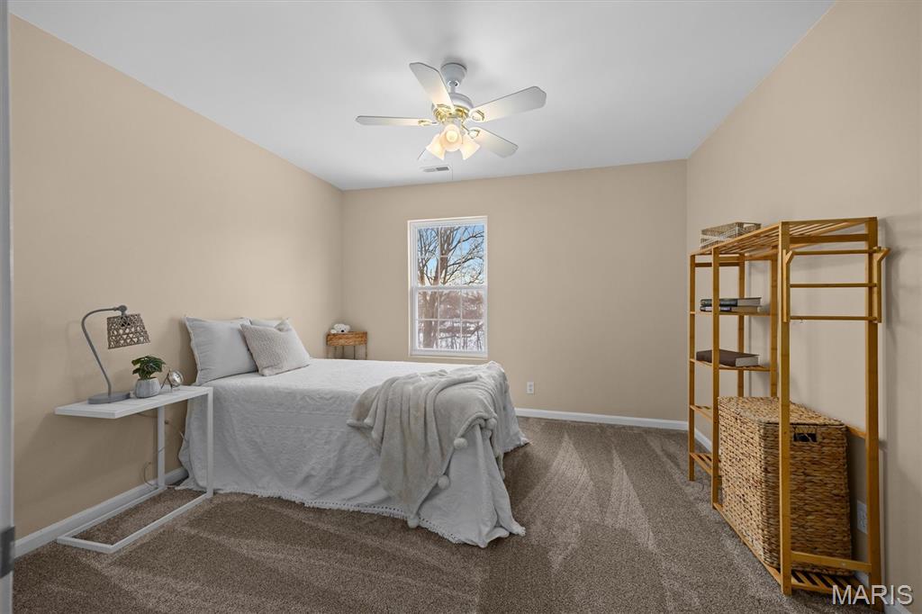 1171 Red Hawk Ridge Lane O'Fallon, IL 62269 - Photo 34 of 71