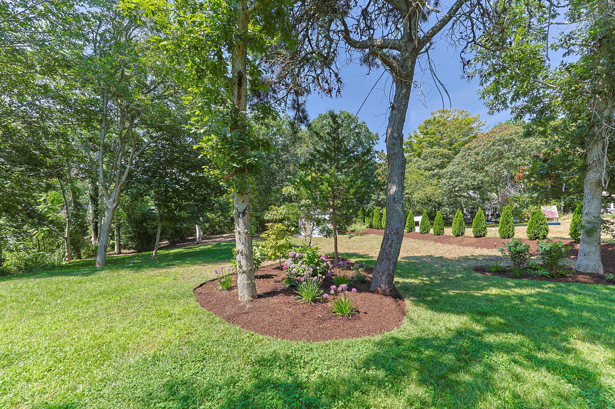 58 Stepping Stones Road Chatham, MA 02633 - Photo 44 of 52 a view of a park with large trees
