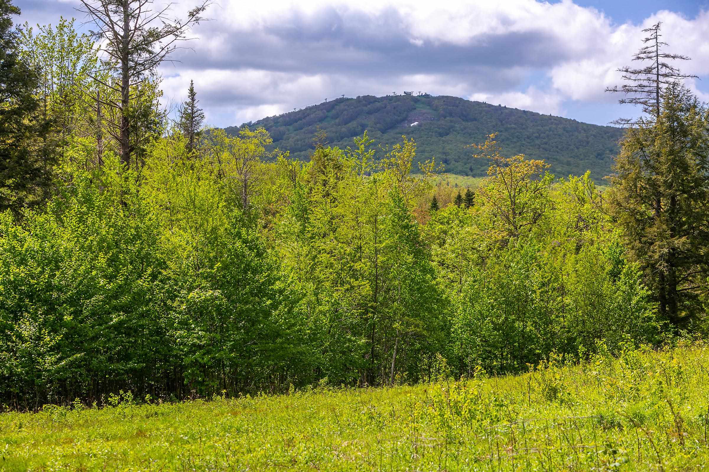 954 S Road Peru, VT 05152 - Photo 3 of 40