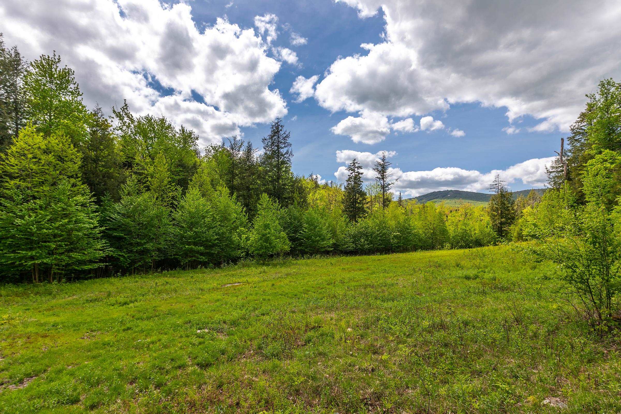 954 S Road Peru, VT 05152 - Photo 39 of 40