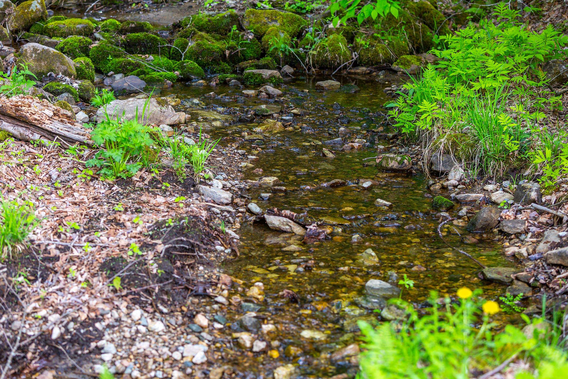 954 S Road Peru, VT 05152 - Photo 40 of 40