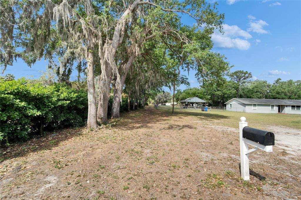 8209 Edison Road Lithia, FL 33547 - Photo 1 of 1 Gallery Image 1
