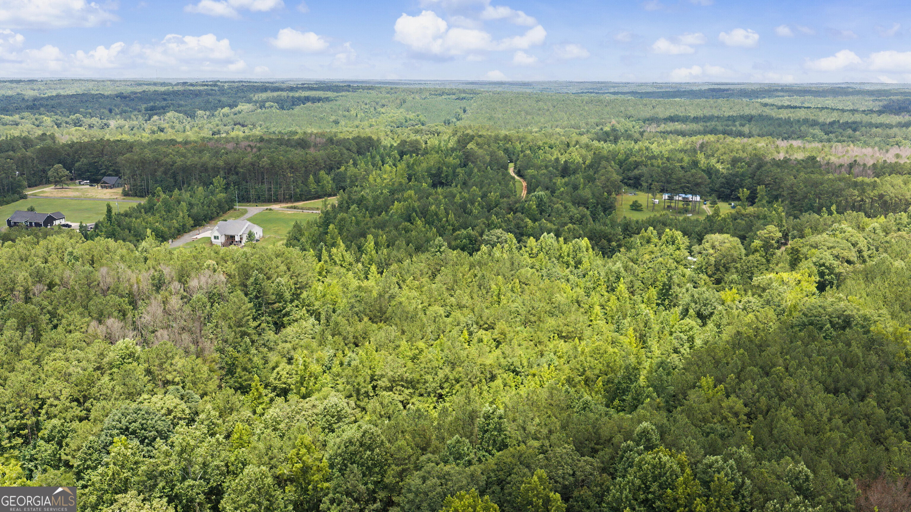 661 Hugh O Neal Road Greenville, GA 30222 - Photo 10 of 11