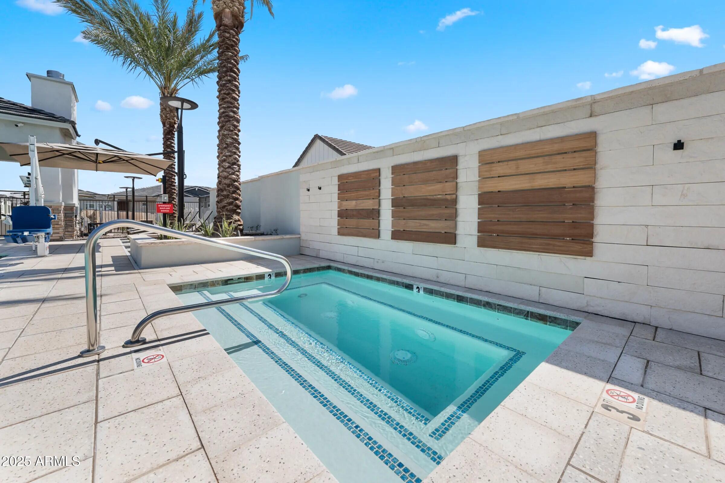 15601 West Cactus Road, Unit S1009 El Mirage, AZ 85335 - Photo 11 of 18 Heated Spa