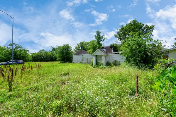 a view of yard with green space