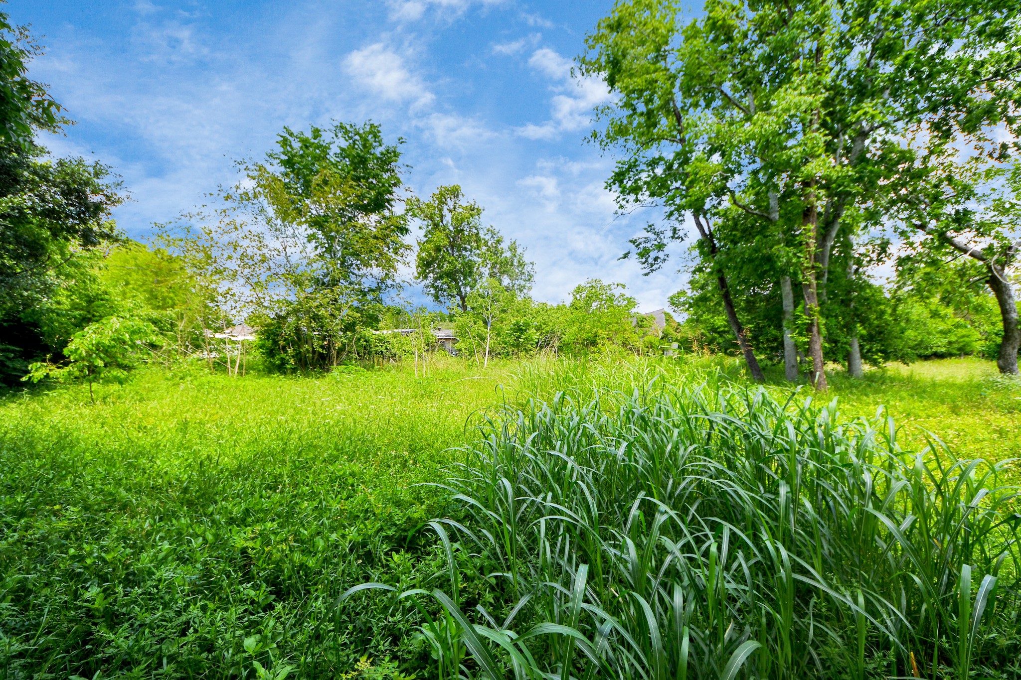 4312 Sunflower Street Houston, TX 77051 - Photo 26 of 45 a view of a garden
