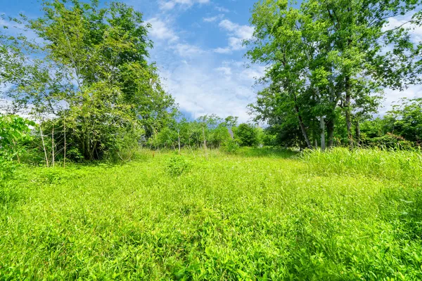 an aerial view of multiple houses