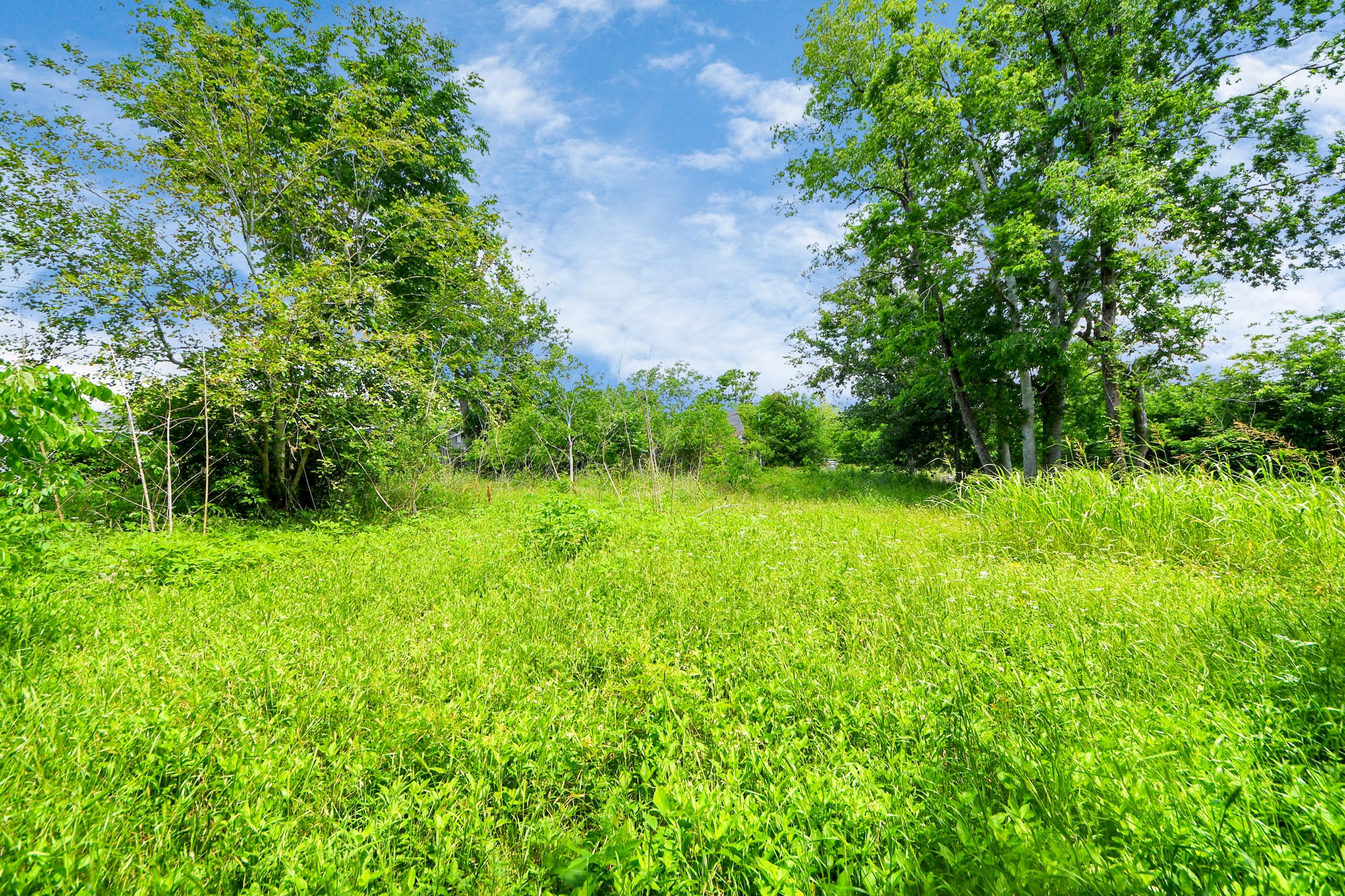 4312 Sunflower Street Houston, TX 77051 - Photo 27 of 45 a view of yard with green space