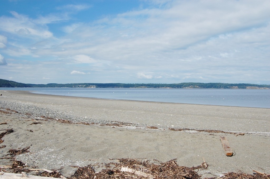 52 Whidbey Shore Road Langley, WA 98260 - Photo 12 of 14 Gallery Image 12
