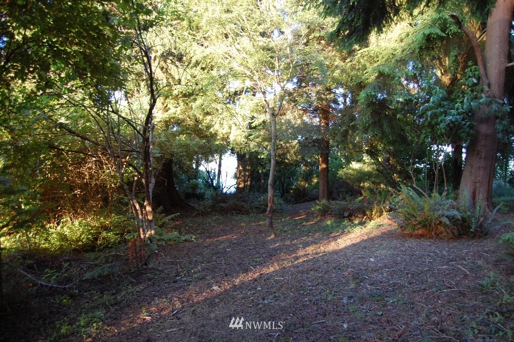 52 Whidbey Shore Road Langley, WA 98260 - Photo 7 of 14 Gallery Image 7
