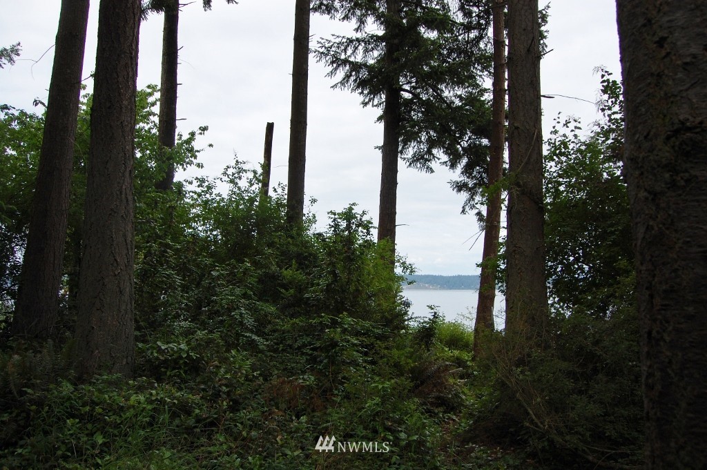 52 Whidbey Shore Road Langley, WA 98260 - Photo 9 of 14 Gallery Image 9