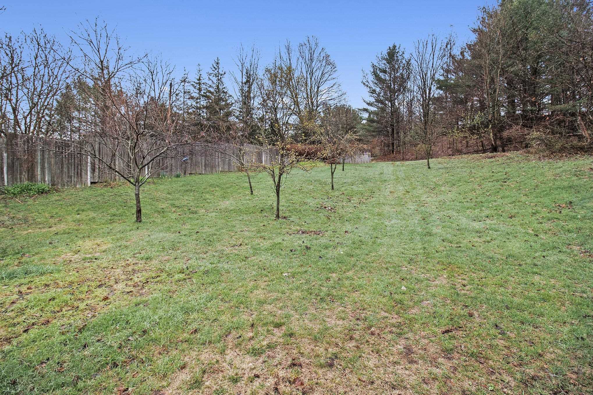 7809 Potter Road Bear Lake, MI 49614 - Photo 31 of 35 1933302-6453d974-2692-46ae-bac4-7a062cdce197.JPG