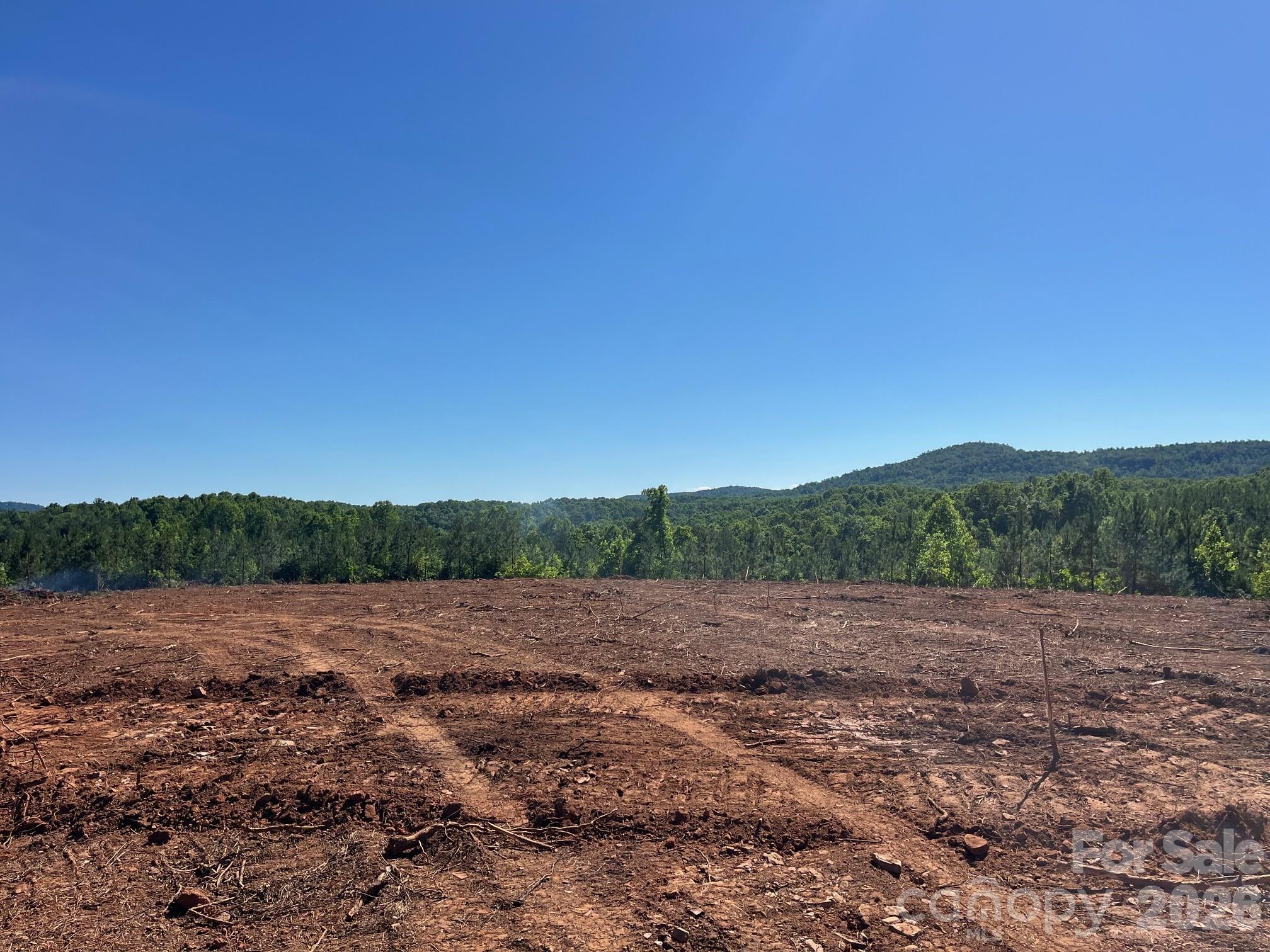 Tbd Vein Mountain Road, Unit 20 Nebo, NC 28761 - Photo 15 of 17