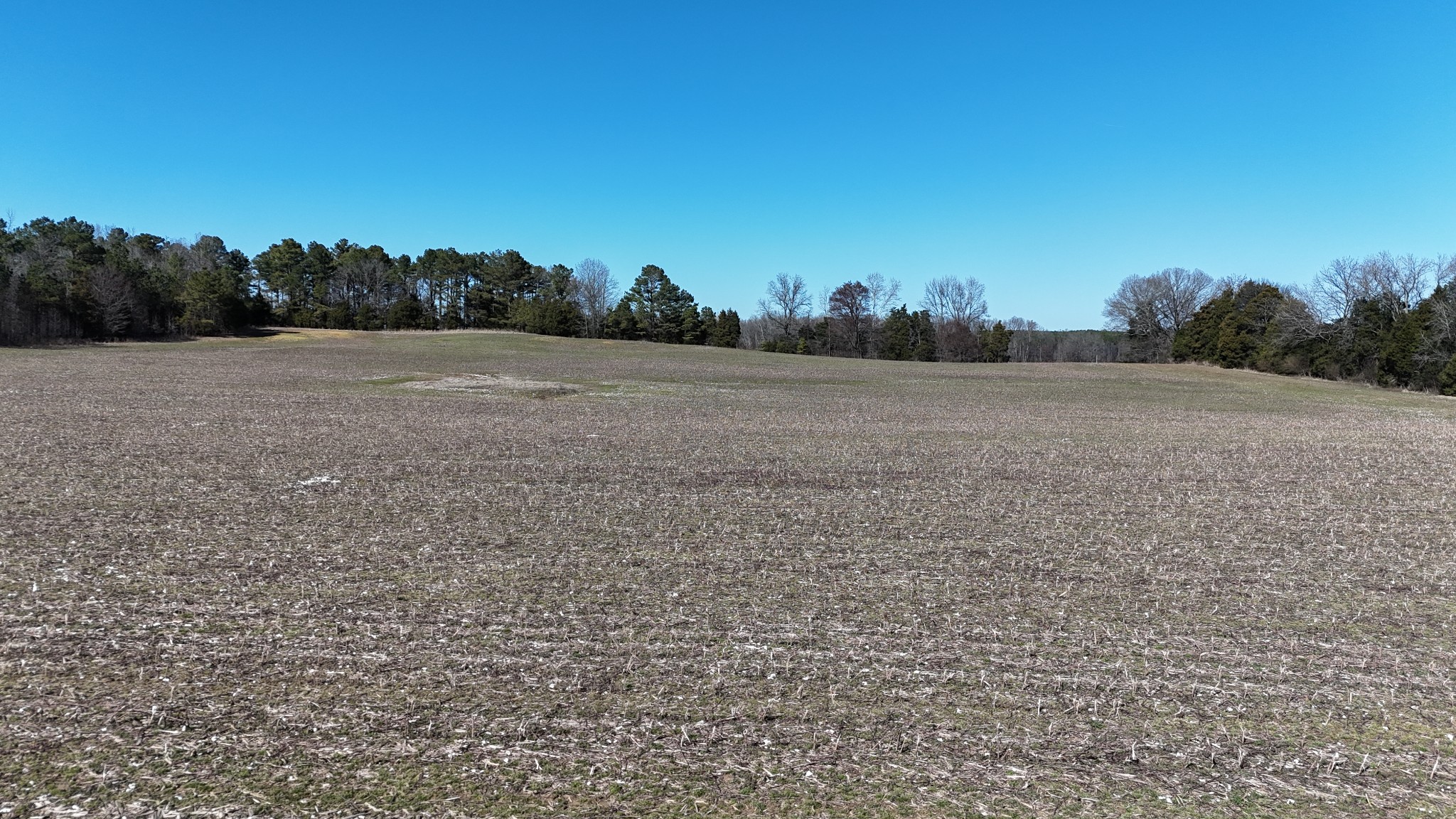 0 Crum Road Yuma, TN 38390 - Photo 6 of 14 a view of dirt field and trees