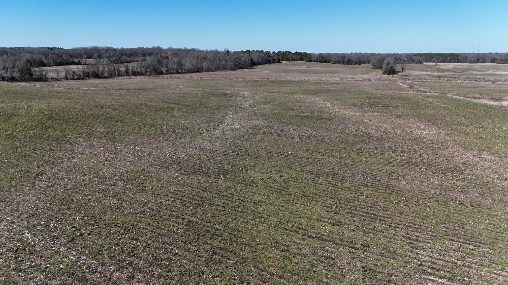 0 Crum Road Yuma, TN 38390 - Photo 9 of 14 a view of an ocean beach