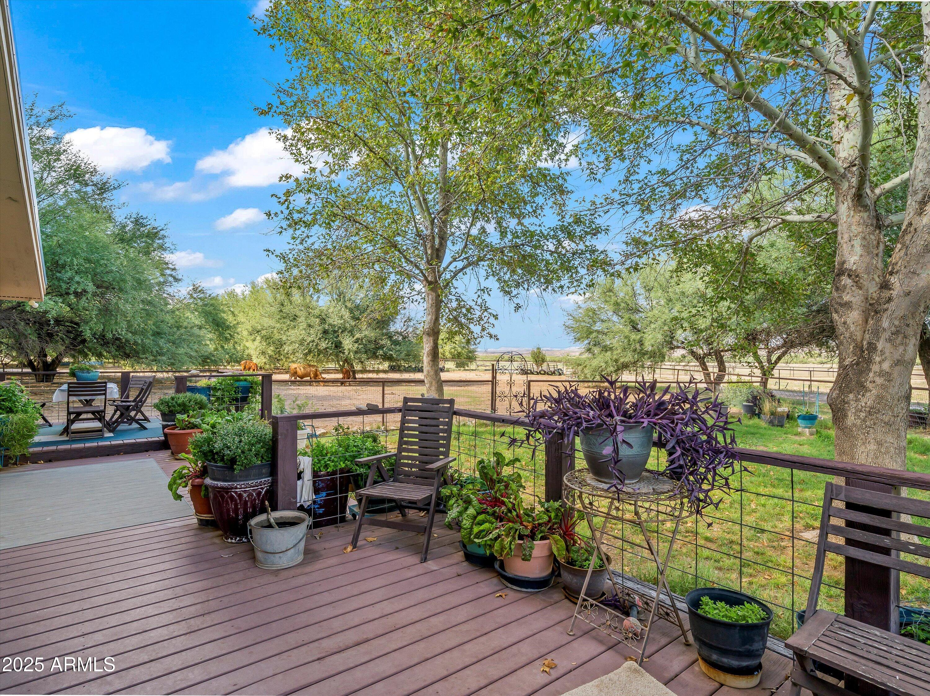 4489 North Ocotillo Road Benson, AZ 85602 - Photo 16 of 60 Main Home Back Patio