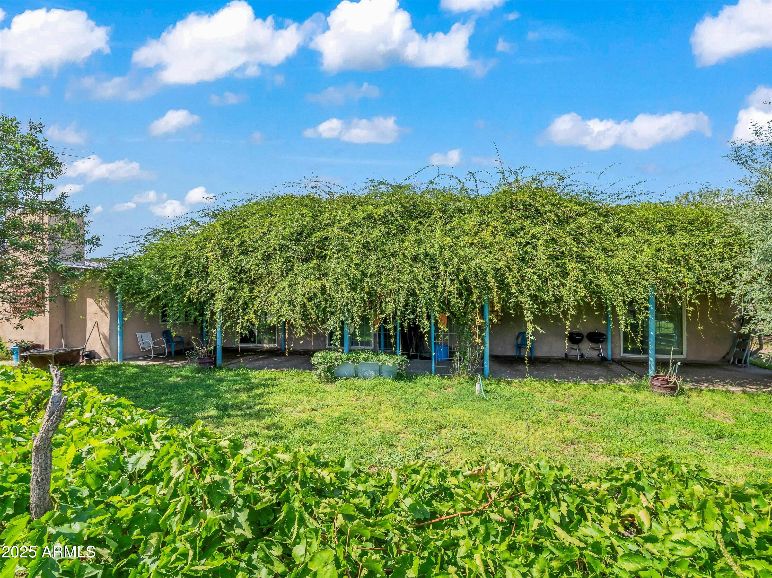 4489 North Ocotillo Road Benson, AZ 85602 - Photo 42 of 60 a view of a green yard with a house in the background