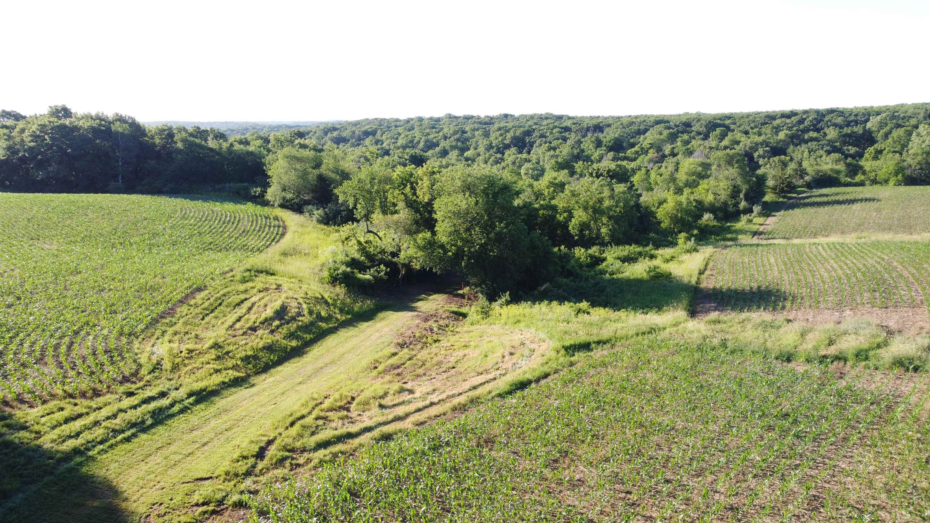 8497 South Good Hope Road Elizabeth, IL 61028 - Photo 24 of 57 Gallery Image 24