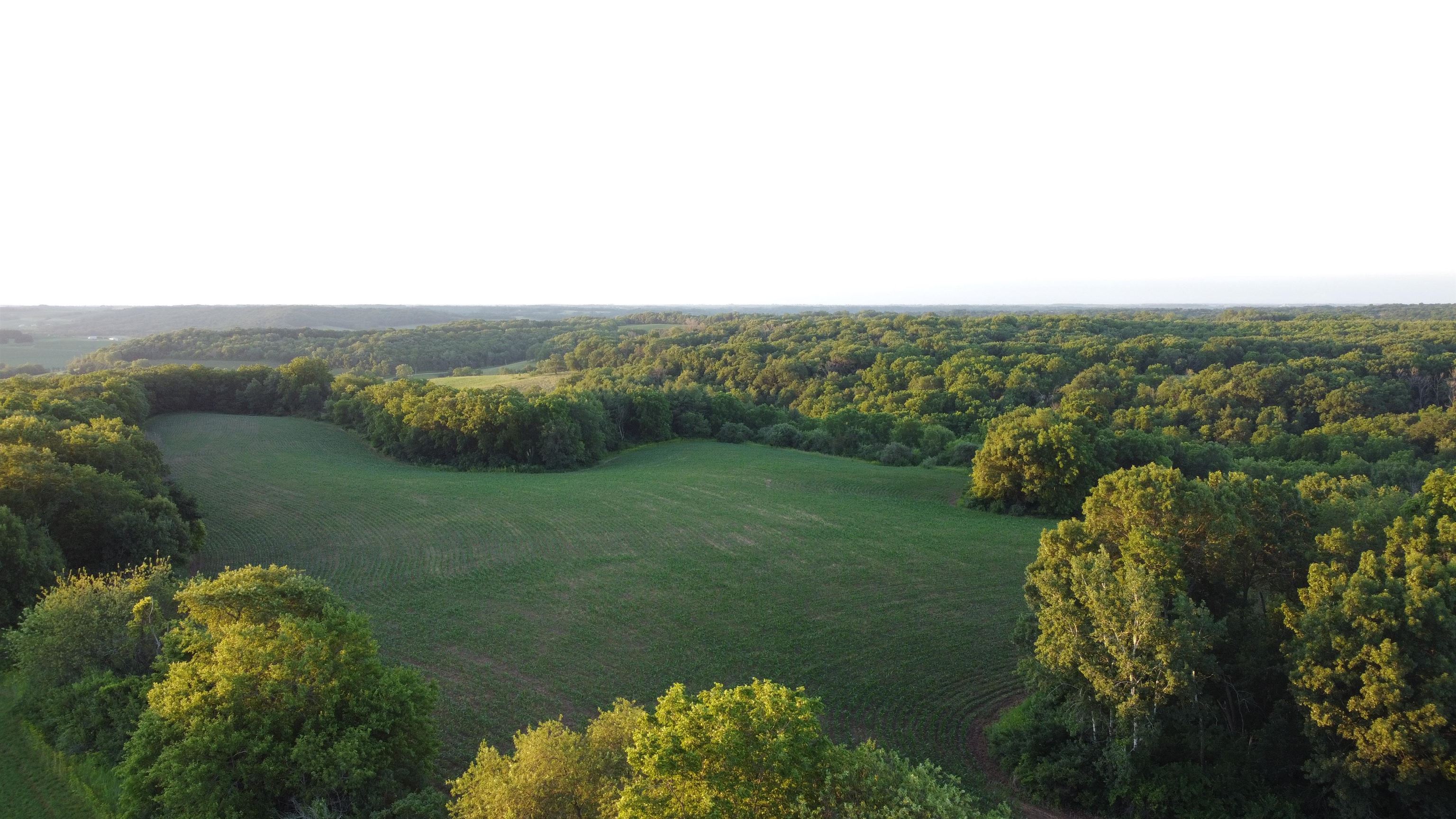 8497 South Good Hope Road Elizabeth, IL 61028 - Photo 35 of 57 Gallery Image 35