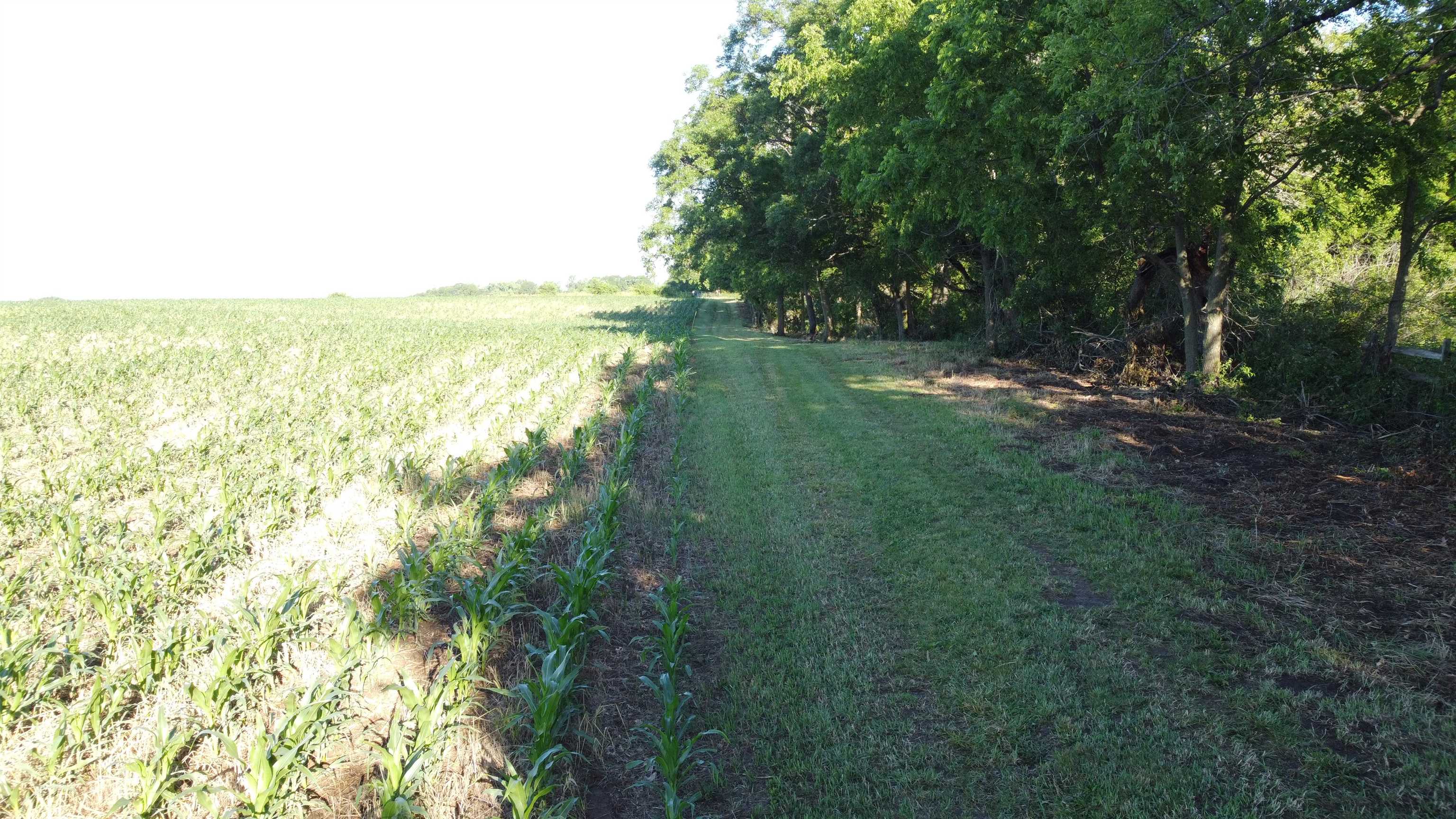 8497 South Good Hope Road Elizabeth, IL 61028 - Photo 38 of 57 Gallery Image 38