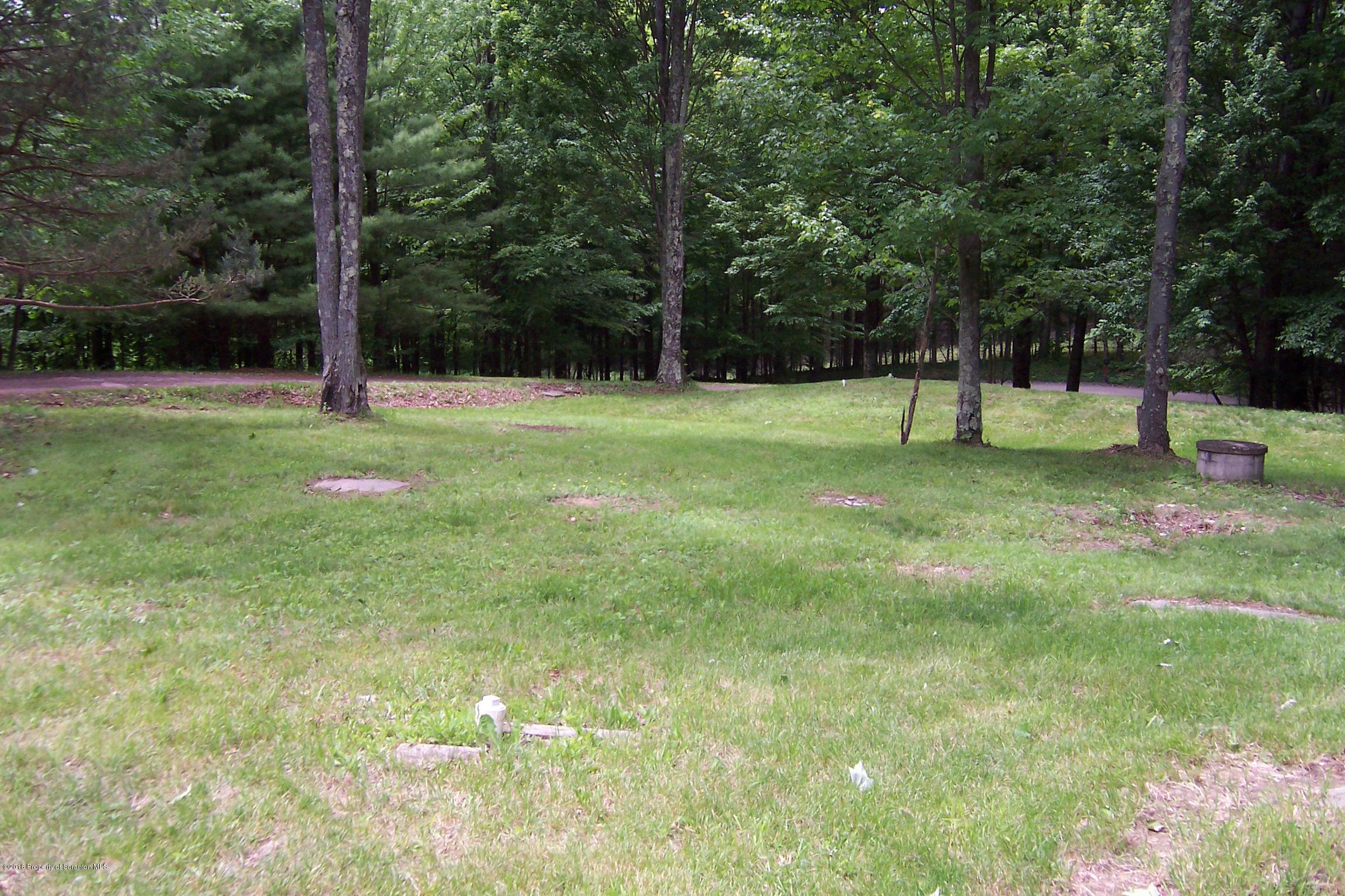 780 Lester Road Montrose, PA 18801 - Photo 3 of 17 Gallery Image 3