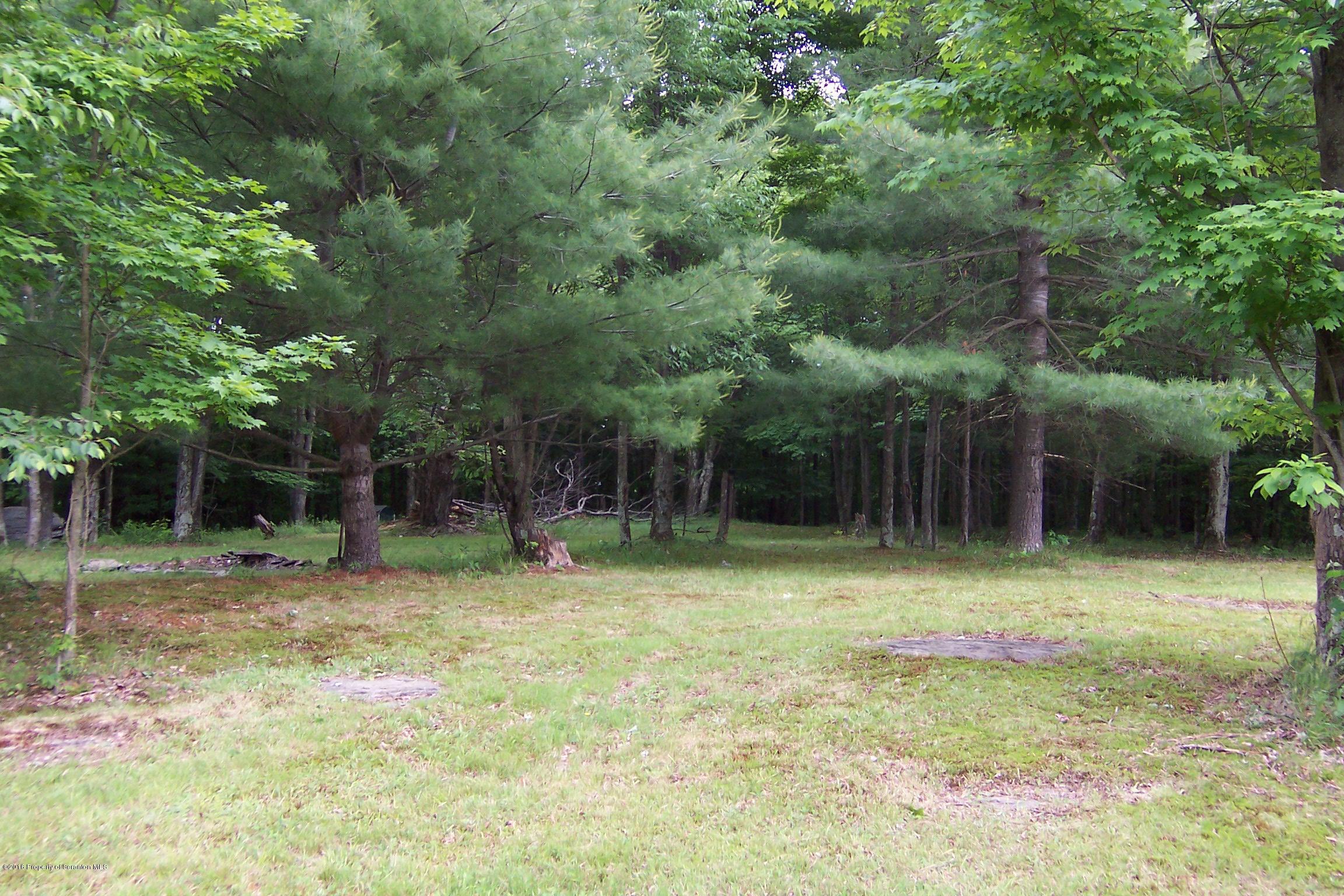 780 Lester Road Montrose, PA 18801 - Photo 4 of 17 Gallery Image 4