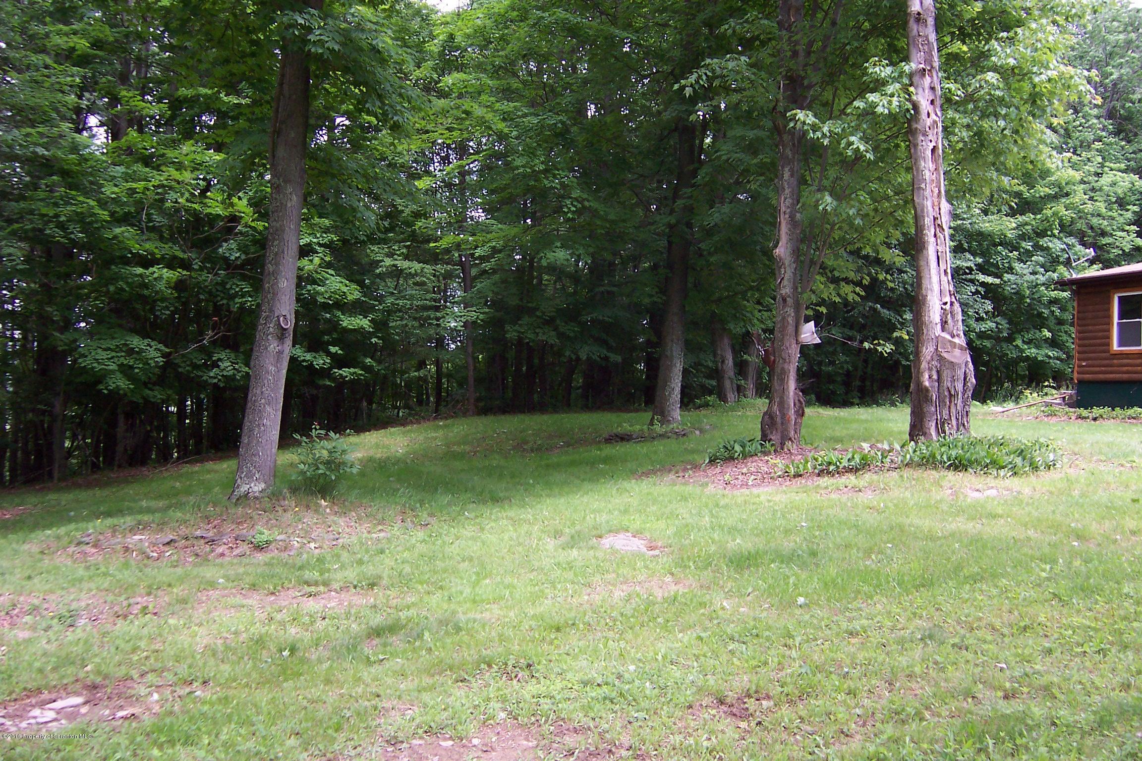 780 Lester Road Montrose, PA 18801 - Photo 5 of 17 Gallery Image 5