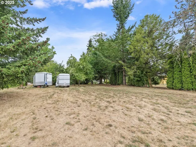 a view of a yard with a tree