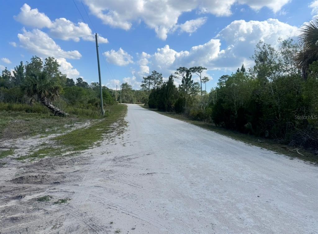 18455 Quiet Road Weeki Wachee, FL 34614 - Photo 3 of 9 a view of a road with a yard