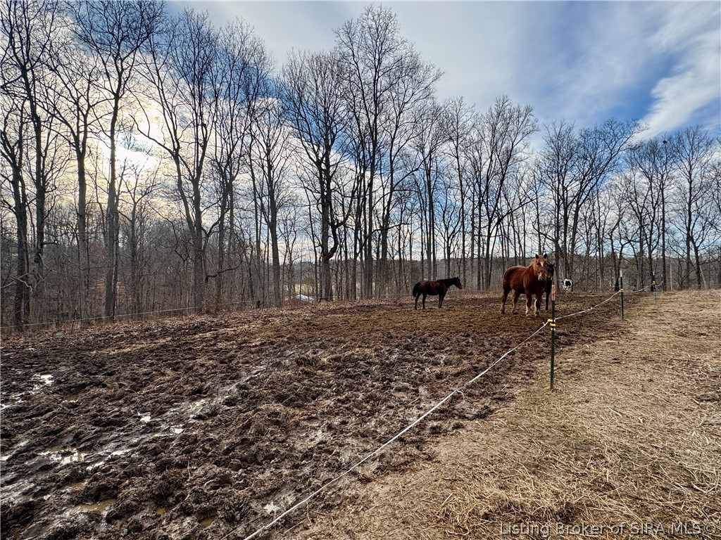 1789 North Peacock Hollow Road Salem, IN 47167 - Photo 39 of 59
