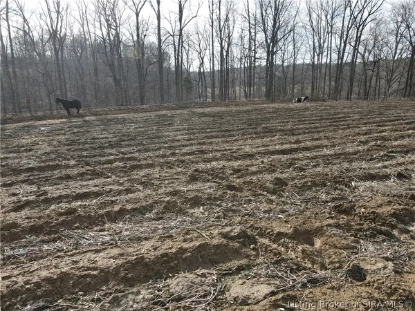 $399,900 | 1789 North Peacock Hollow Road, Salem, IN 47167