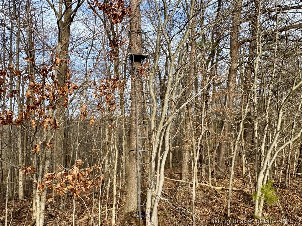 1789 North Peacock Hollow Road Salem, IN 47167 - Photo 49 of 59