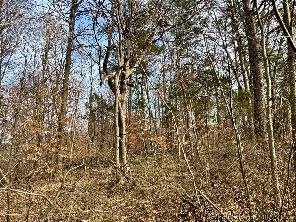 1789 North Peacock Hollow Road Salem, IN 47167 - Photo 50 of 59