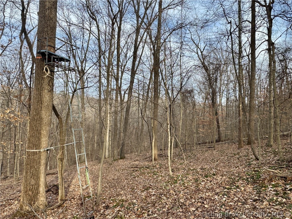 1789 North Peacock Hollow Road Salem, IN 47167 - Photo 52 of 59