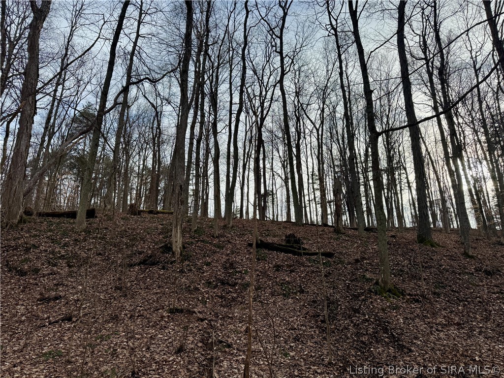 1789 North Peacock Hollow Road Salem, IN 47167 - Photo 56 of 59